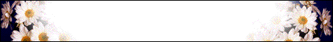 christian_weddings_banner.gif